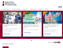 Tablet Screenshot of grupopenafiel.com.mx